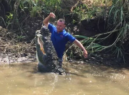 crocodile10