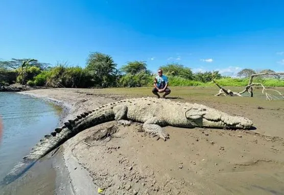 Crocodile Tour Costa Rica
