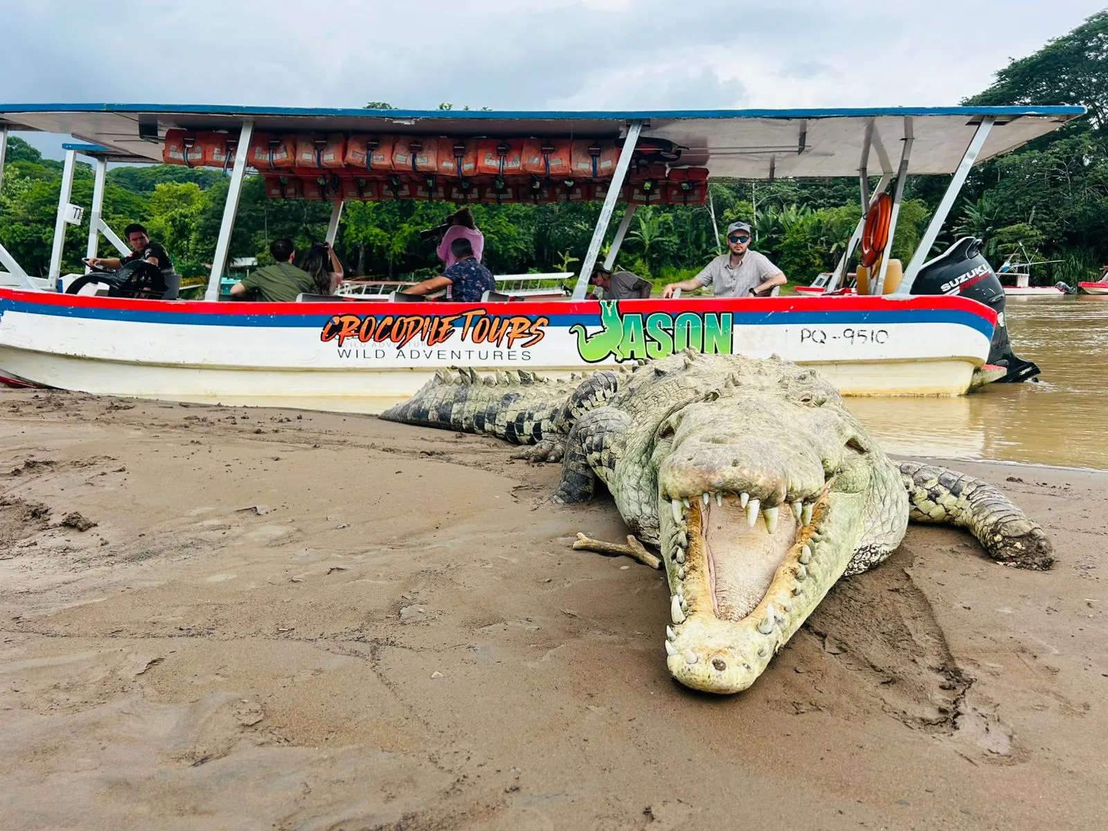 Jason Crocodile Tour 1